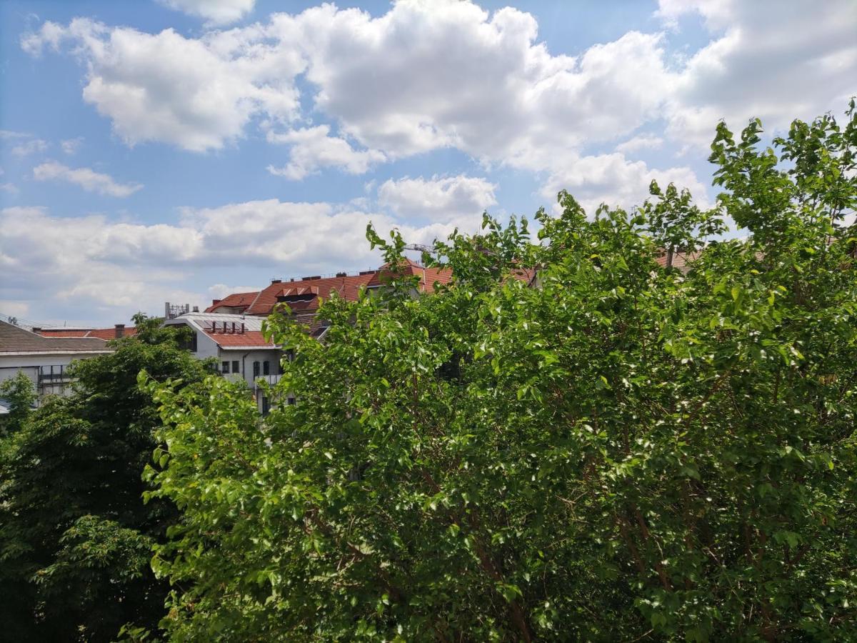 Park View, Close To River, Ac, Bauhaus Vibe, 2 Balconies Budapest Kültér fotó